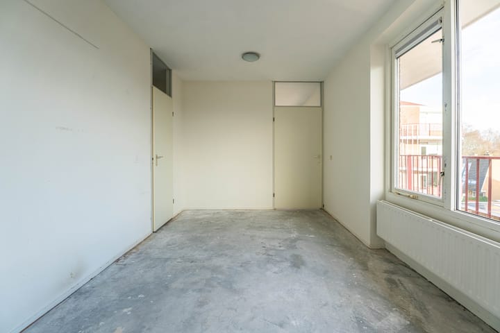 Foto 7 van Pluimgras 56