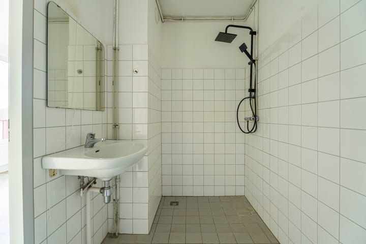 Foto 8 van Pluimgras 56