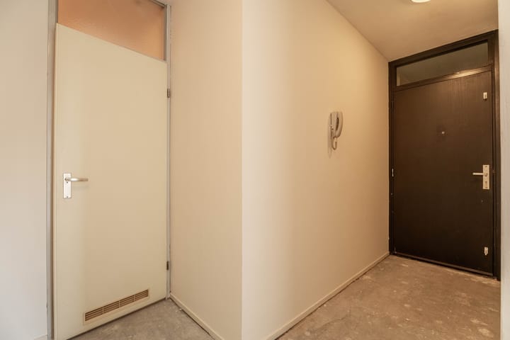 Foto 9 van Pluimgras 56