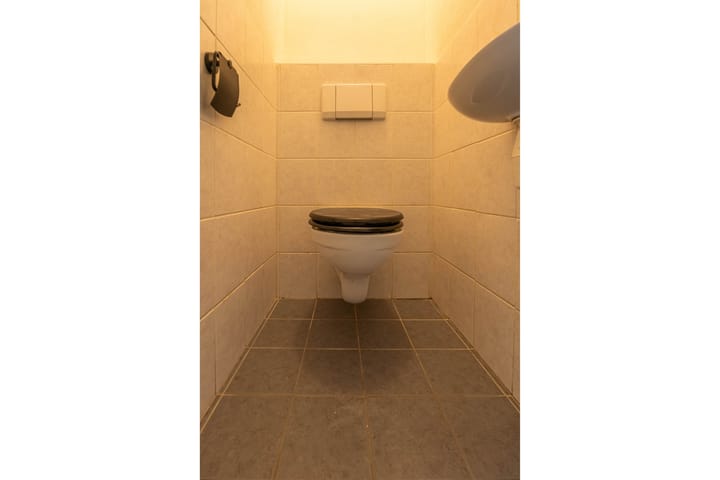 Foto 10 van Pluimgras 56