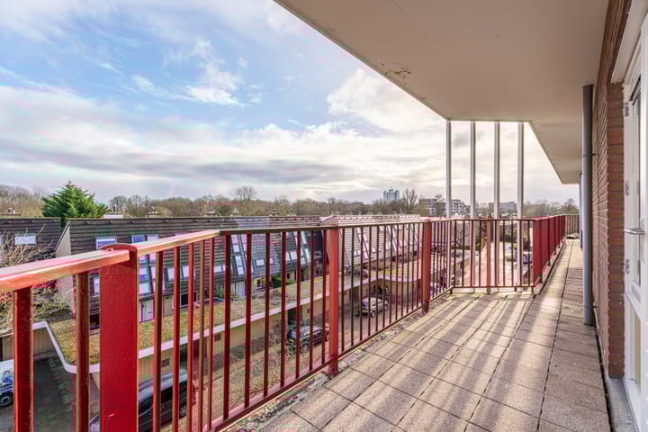 Foto 11 van Pluimgras 56