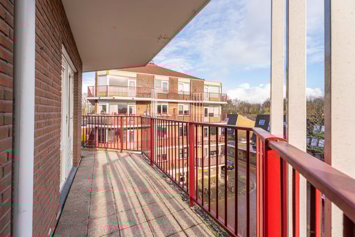 Foto 12 van Pluimgras 56