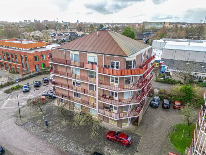 Foto 15 van Pluimgras 56