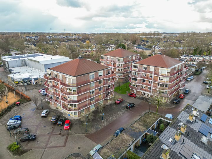 Foto 16 van Pluimgras 56