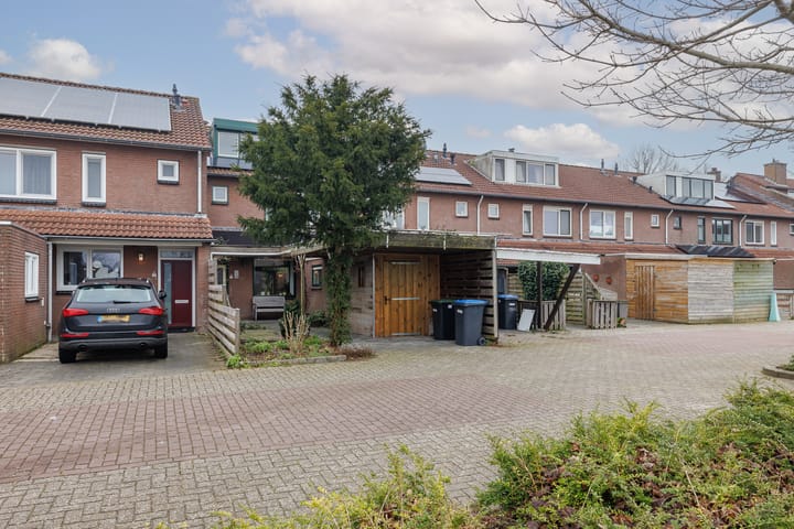 Foto 5 van Galjoen 13 14