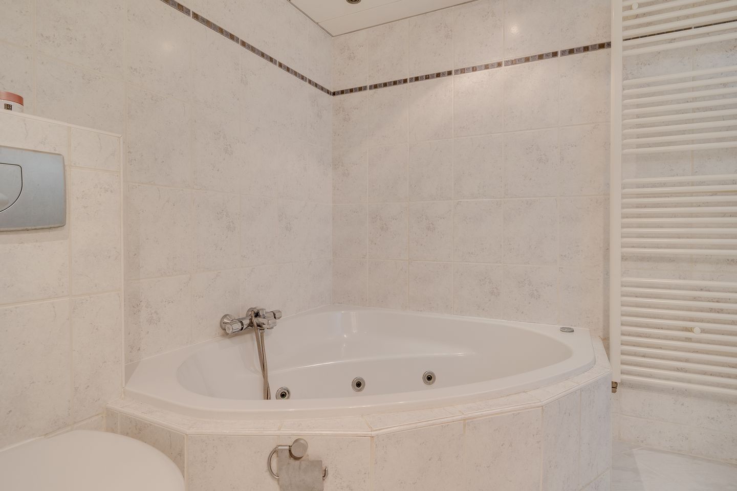 Foto 19 van Platanenlaan 8