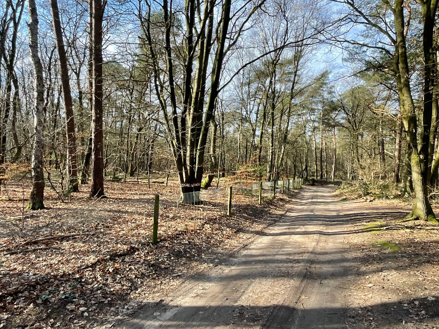 Foto 19 van Tonnenberg 53-K34