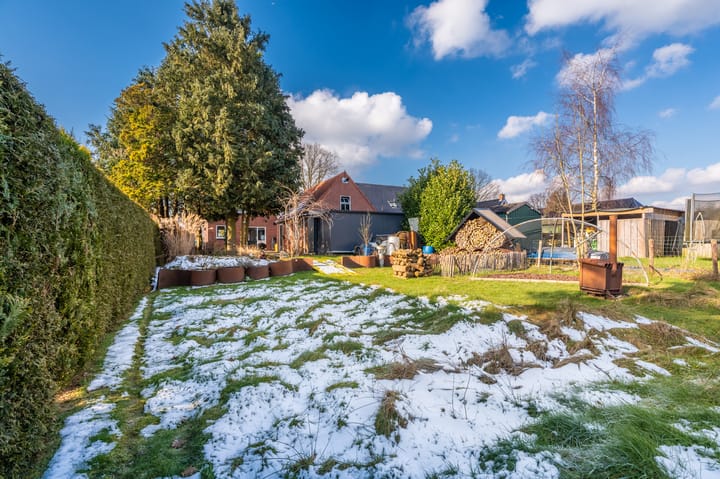 Foto 11 van Holte 40