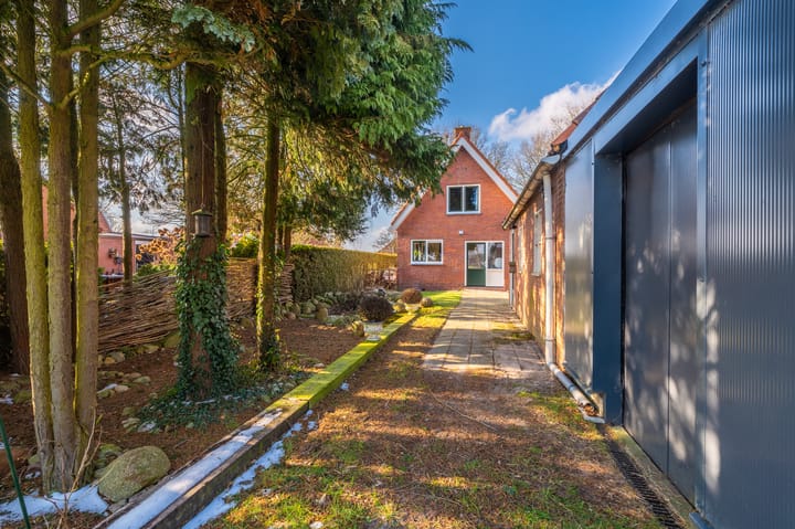 Foto 12 van Holte 40