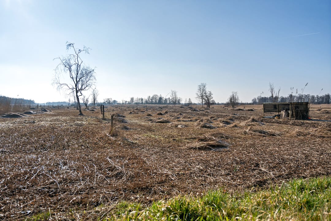 Foto 7 van Rietveld 22