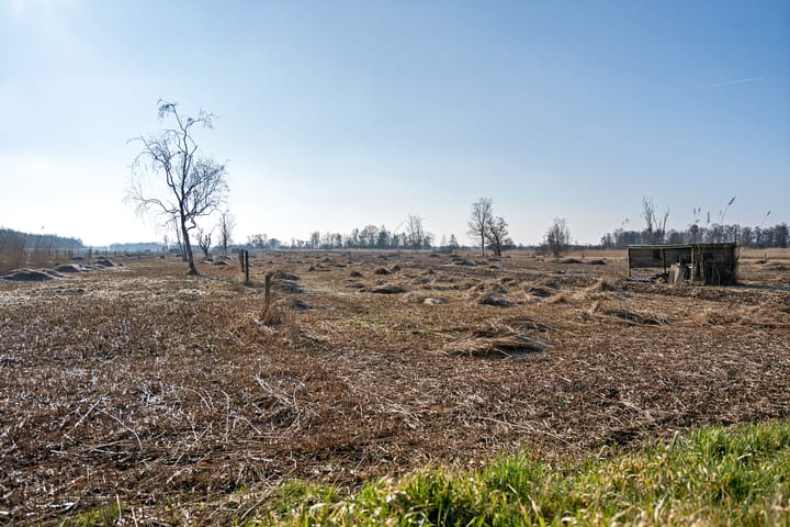 Foto 7 van Rietveld 22