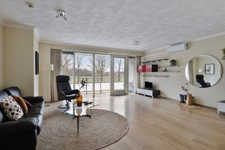 Foto 2 van IJsvogel 13