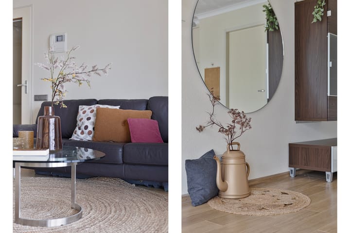 Foto 3 van IJsvogel 13