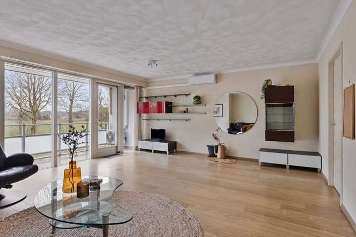 Foto 4 van IJsvogel 13