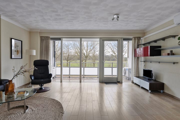 Foto 5 van IJsvogel 13