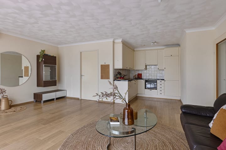 Foto 8 van IJsvogel 13