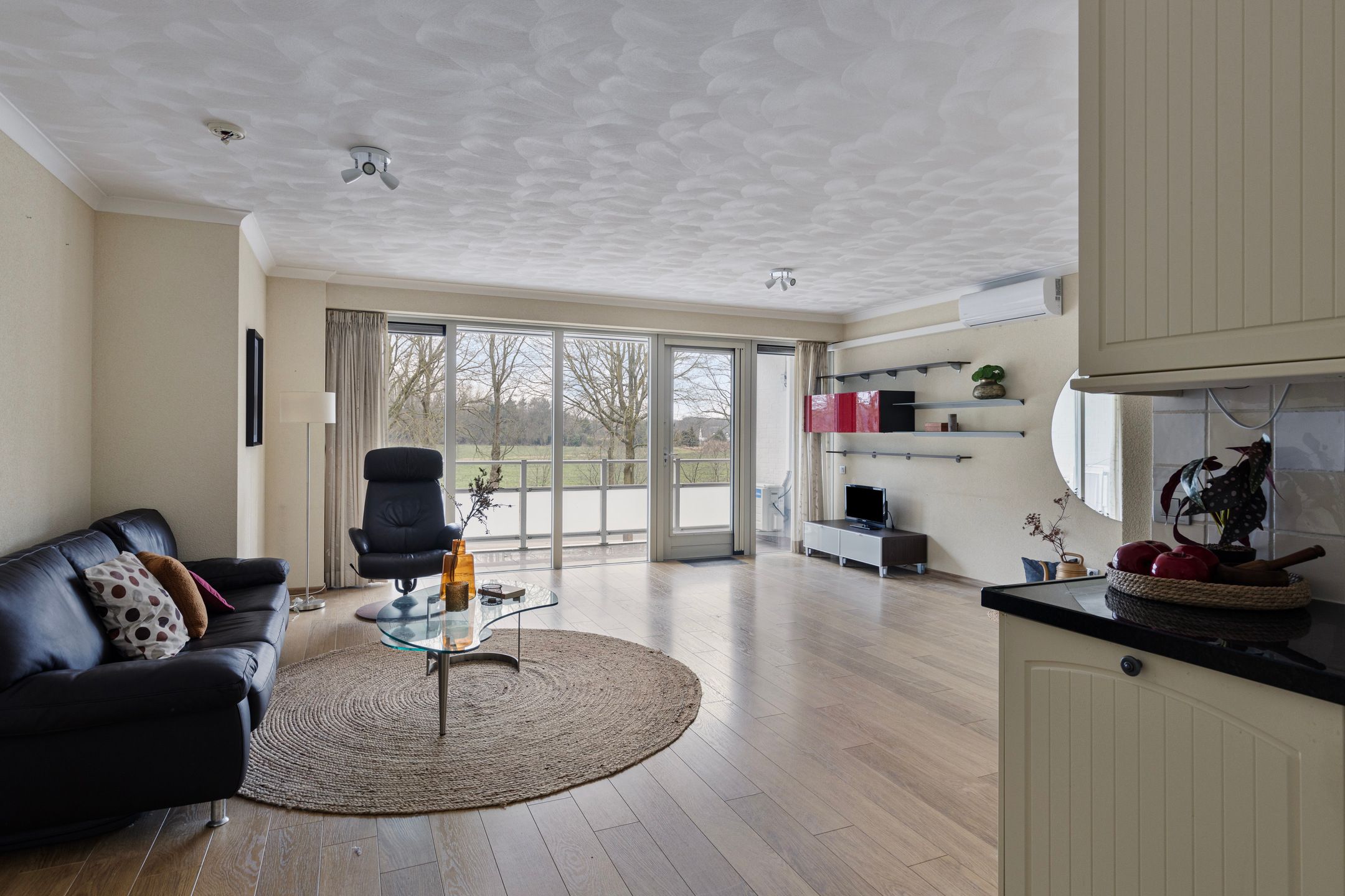 Foto 9 van IJsvogel 13