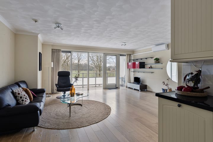 Foto 9 van IJsvogel 13