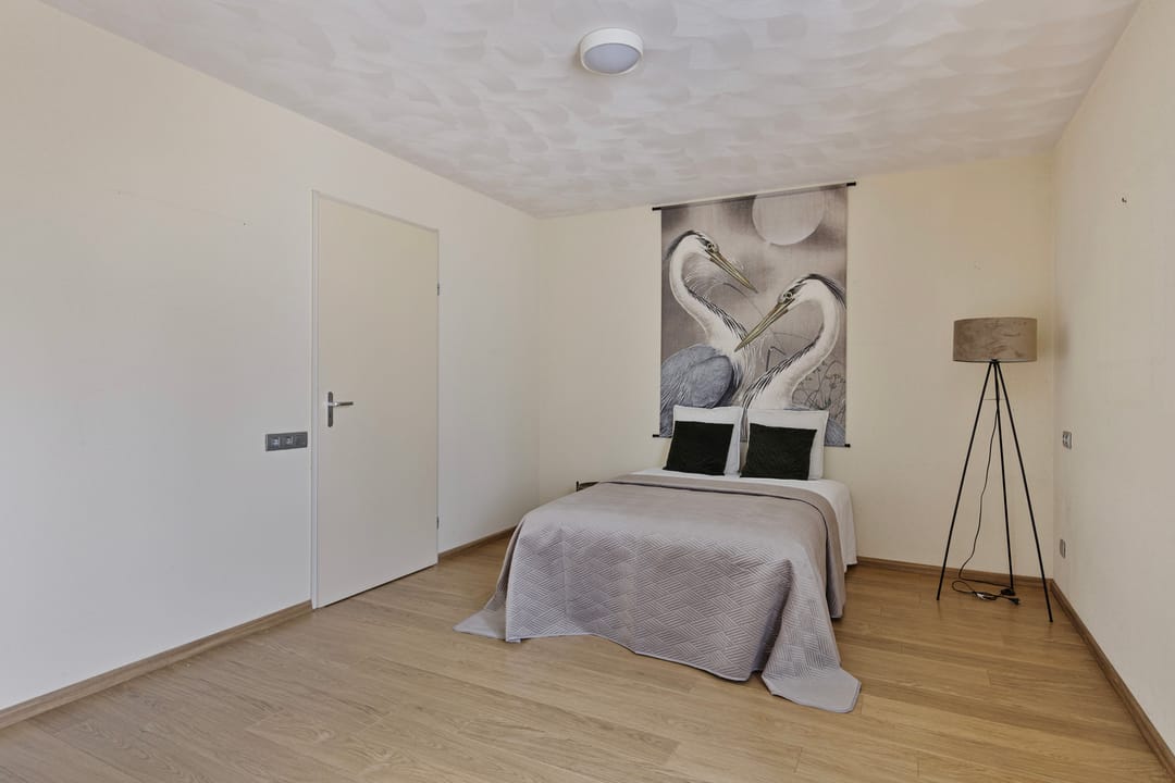 Foto 11 van IJsvogel 13