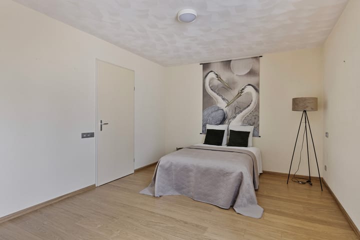 Foto 11 van IJsvogel 13