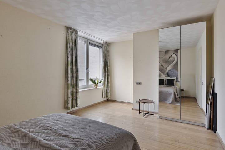 Foto 12 van IJsvogel 13