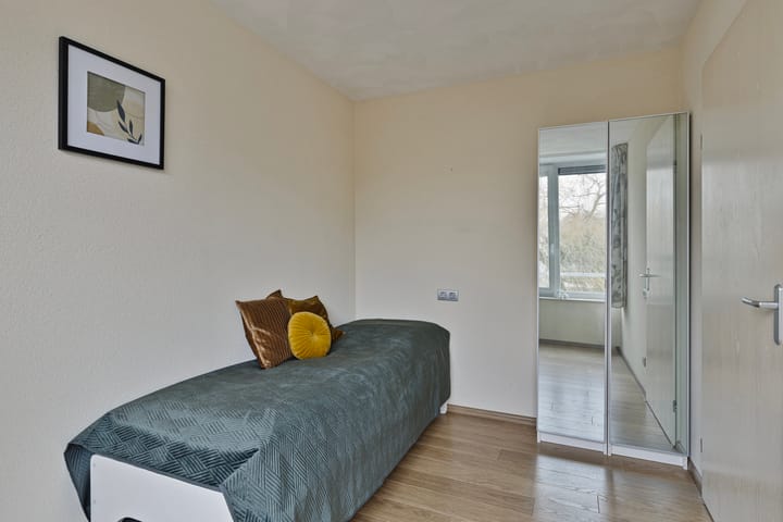 Foto 13 van IJsvogel 13