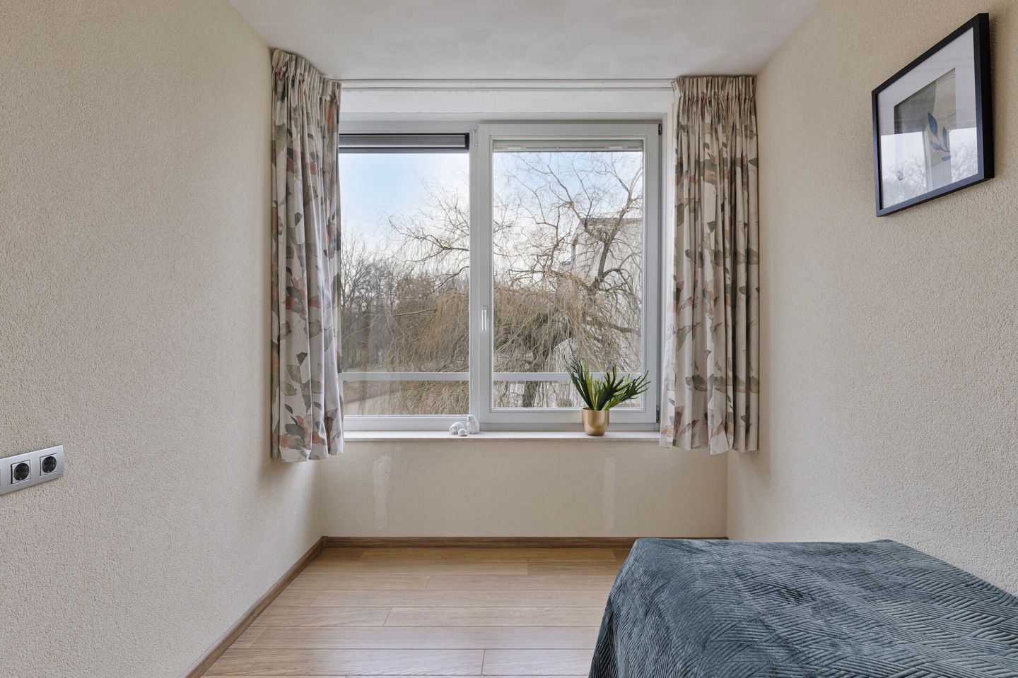 Foto 14 van IJsvogel 13