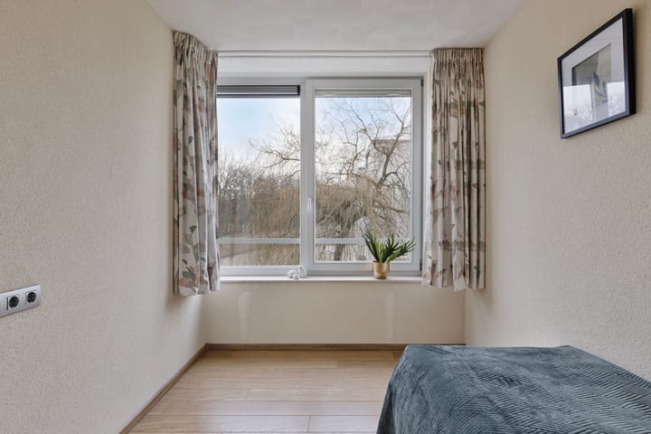 Foto 14 van IJsvogel 13