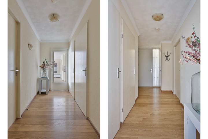 Foto 18 van IJsvogel 13