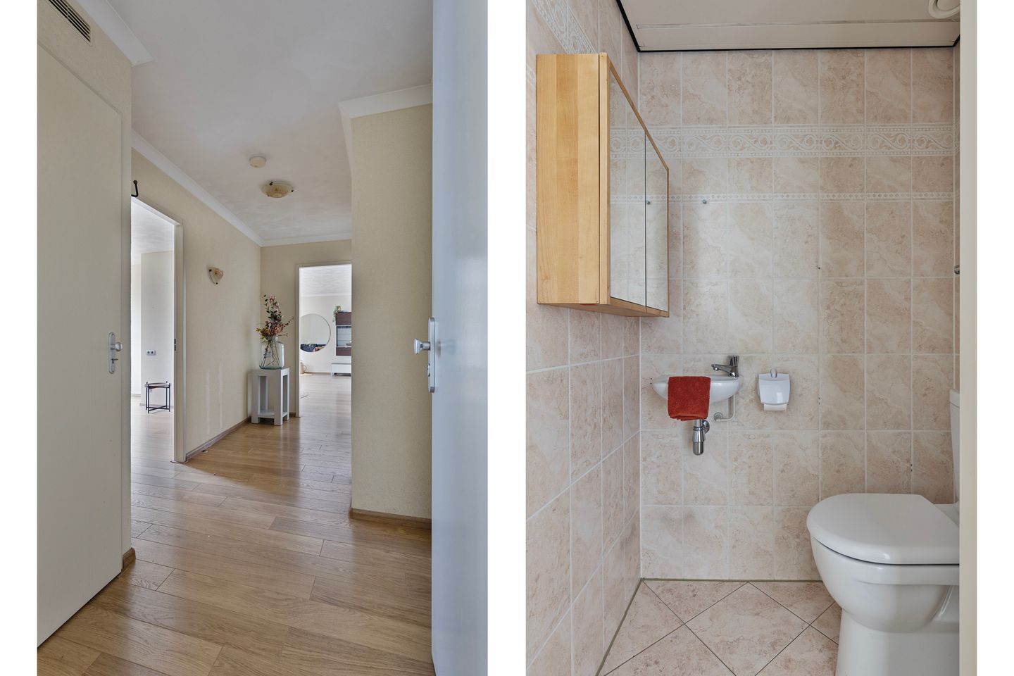 Foto 19 van IJsvogel 13