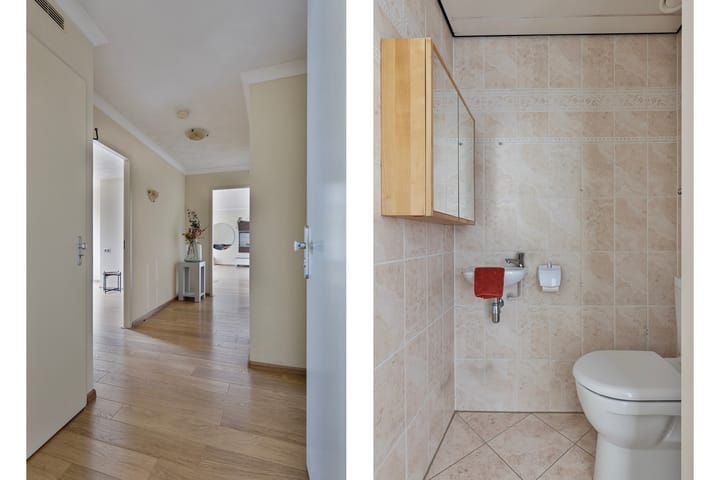 Foto 19 van IJsvogel 13