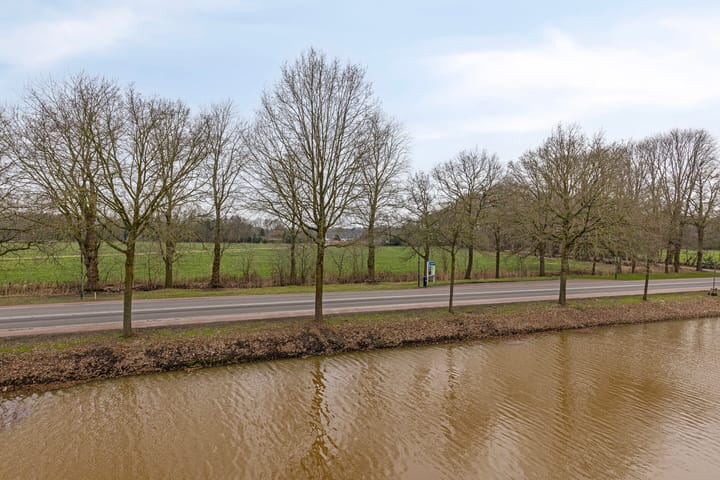 Foto 22 van IJsvogel 13