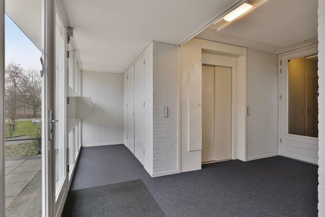 Foto 23 van IJsvogel 13