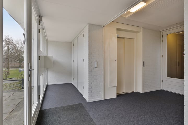 Foto 23 van IJsvogel 13