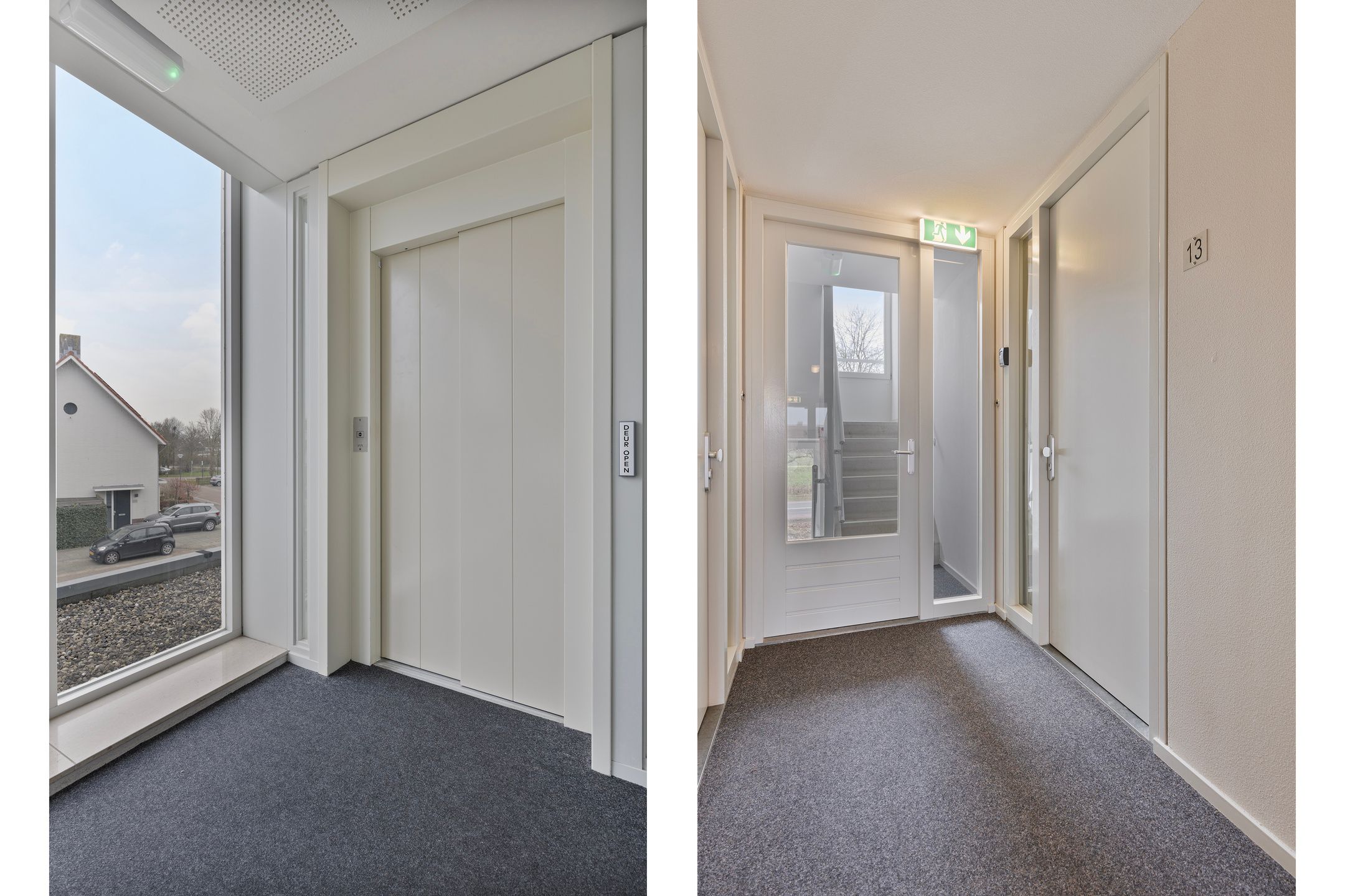 Foto 24 van IJsvogel 13