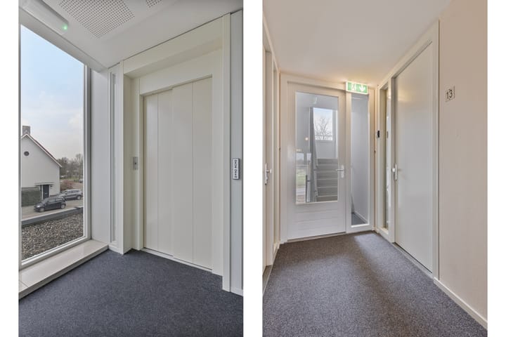 Foto 24 van IJsvogel 13