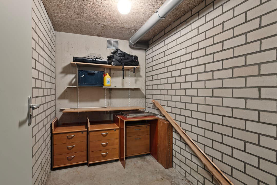 Foto 26 van IJsvogel 13