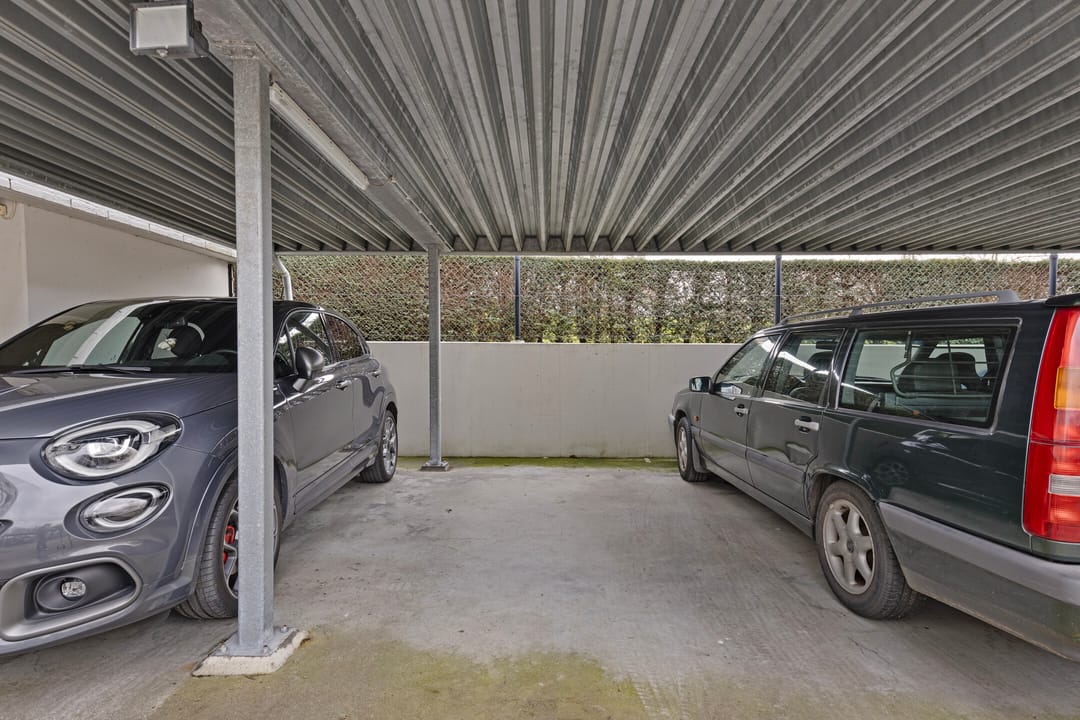 Foto 28 van IJsvogel 13