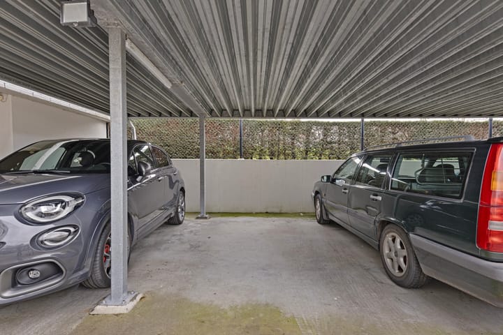 Foto 28 van IJsvogel 13