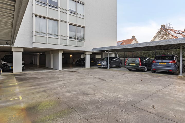 Foto 29 van IJsvogel 13