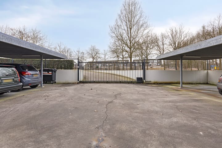 Foto 30 van IJsvogel 13