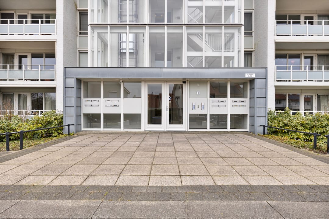 Foto 31 van IJsvogel 13