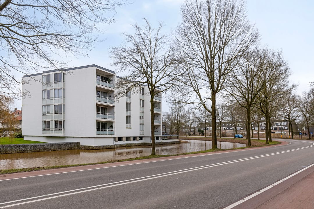 Foto 32 van IJsvogel 13