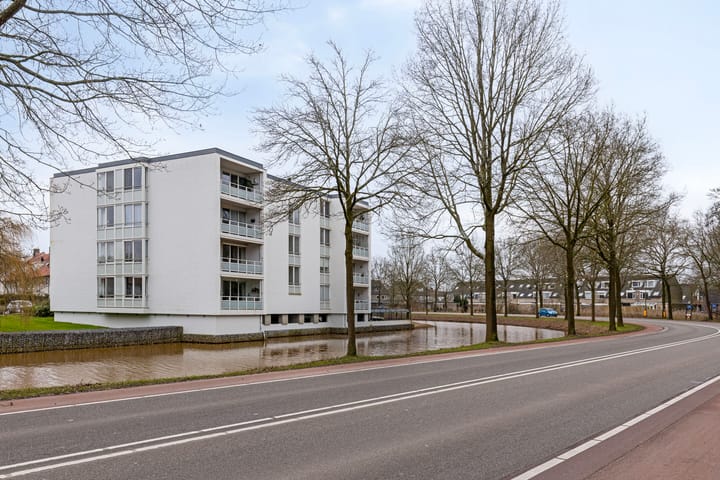 Foto 32 van IJsvogel 13