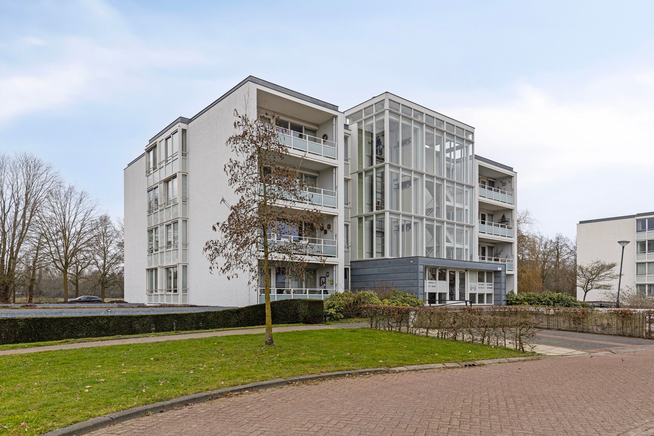 Foto 33 van IJsvogel 13