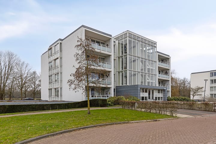 Foto 33 van IJsvogel 13