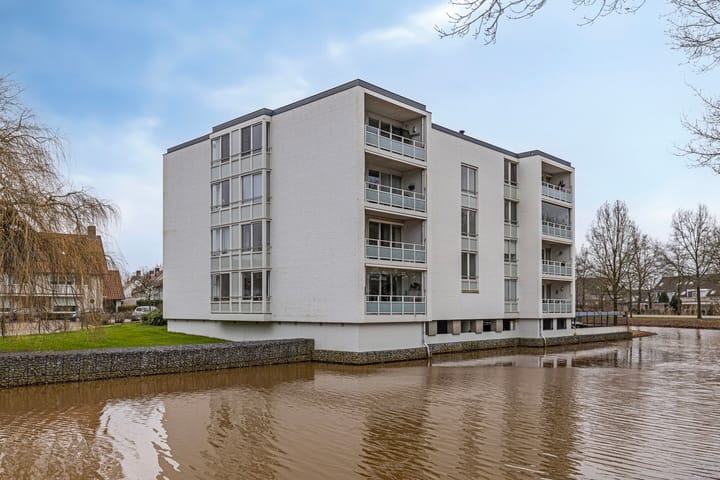 Foto 34 van IJsvogel 13