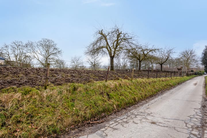 Foto 45 van Limietstraat 15