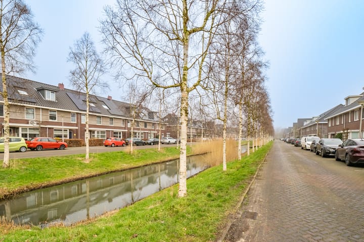 Foto 60 van Schapengrassingel 32