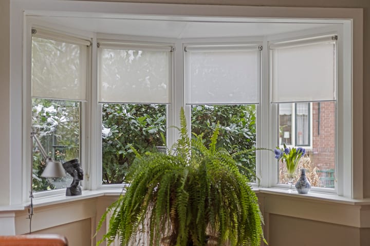 Photo 12 of Plantsoenstraat 7